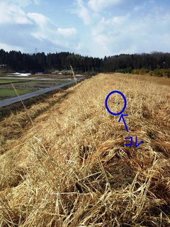 佳作2.jpg